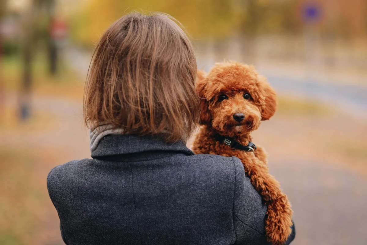 Ghiandole perianali del cane:  come prevenire problemi con soluzioni efficaci.