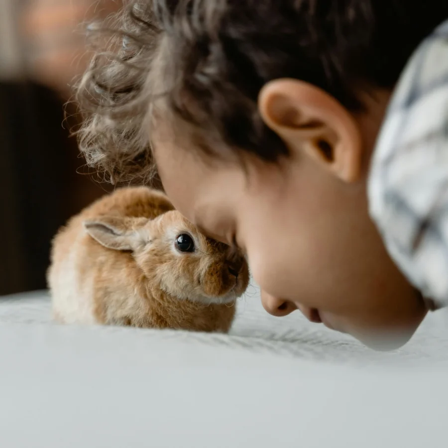 Homepage - Minizoo Cordenons